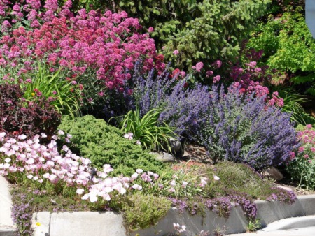 Why Spring Is the Best Time to Sell Your House
